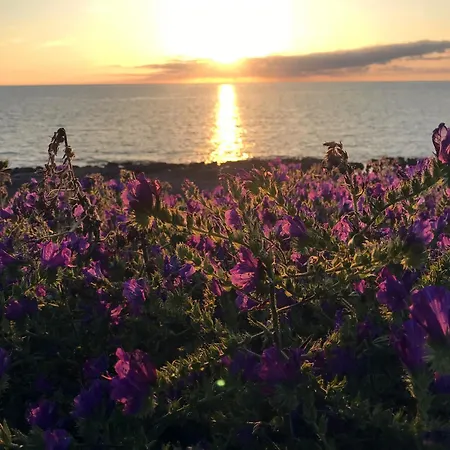 بيت للعطل Villaggio Costa Del Sole *
